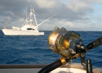 REPORT: Bagwah’s black marlin quest